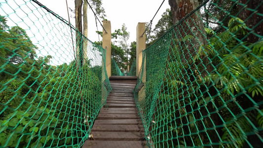 Malaysia雨林中的树冠漫步视频
