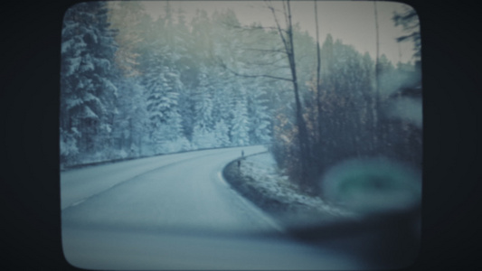 驾车穿过阳光明媚的冬季森林视频