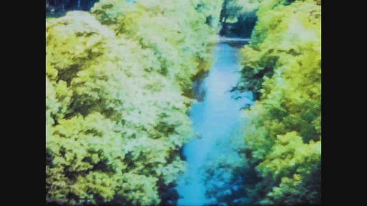 森林中的河流视频