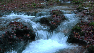 山间溪流7秒视频