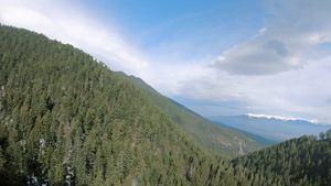 夏季在布加里亚河上和沿树顶一带的国家森林公园中低空17秒视频