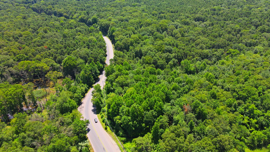 穿越绿林鸟瞰公路的公路穿越省道林顶景观视频