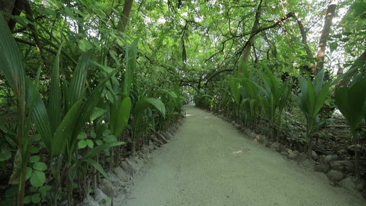 穿过梅丁迪维安岛视频