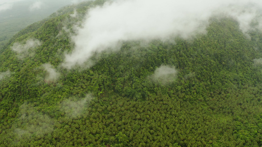 山上覆盖雨林菲利平斯西雅高视频