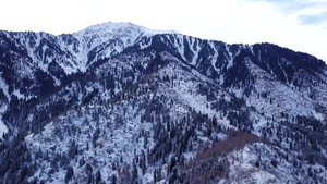 冬季森林和高山14秒视频
