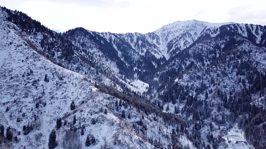 冬季森林和高山下着雪视频