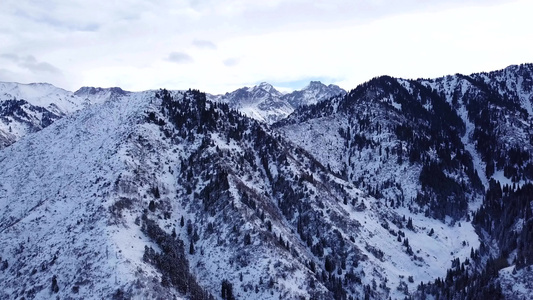 冬季森林和高山下着雪视频