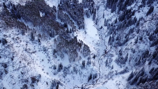 冬季森林和高山下着雪视频