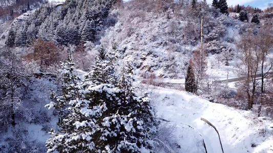 冬季森林和高山下着雪视频