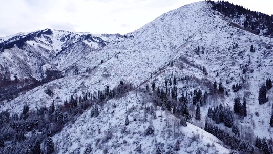 冬季森林和高山下着雪视频