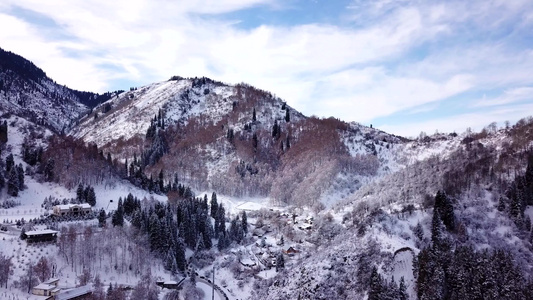 冬季森林和高山下着雪视频