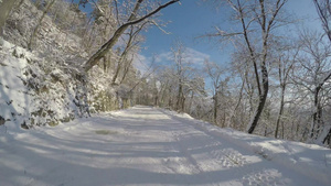 冬季在美丽的森林道路上行驶30秒视频