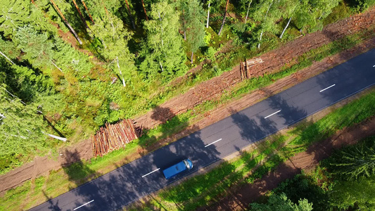 驾驶汽车沿着高速公路在密集的森林中空中无人机看到视频