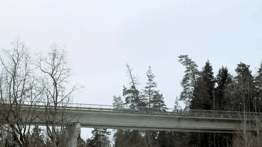 林中桥梁视频