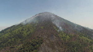 山林中的烈火19秒视频