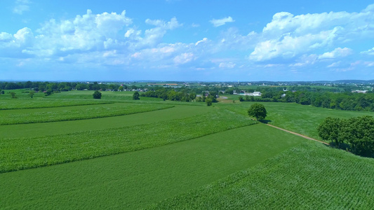 种植玉米和其他蔬菜的绿质制农地的空中风景视频