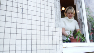 妇女开着窗种植家用植物26秒视频
