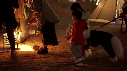 夜晚正在露营篝火前玩耍的人们视频