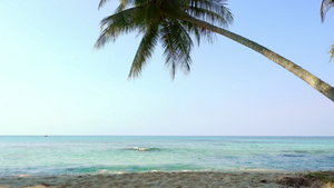 早上的沙滩和椰子树24秒视频
