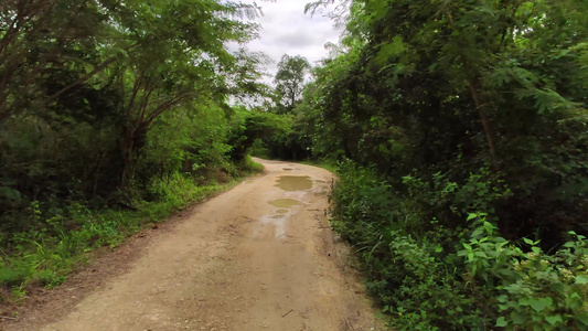 科图巴纳马国家公园的肮脏道路视频