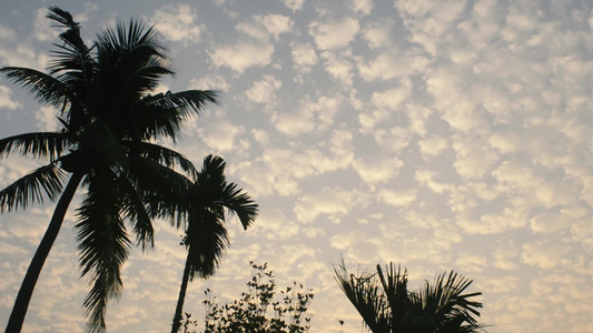 充满活力的色彩日出天空与浮云背景主题照片在冬季季节性视频