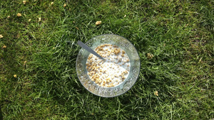 草地上的早餐5秒视频
