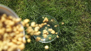 Muesli挤压谷粒坚果谷物倒入绿色草坪上的玻璃透明12秒视频
