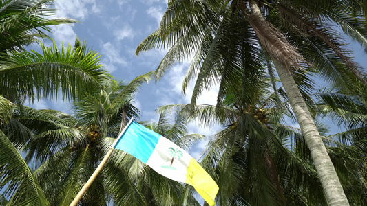 椰椰子棕榈树的旗帜波视频
