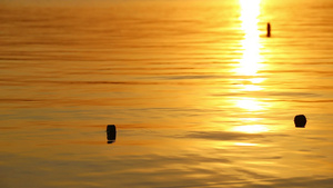 日落的光照耀在温柔的海浪上让水看起来像液体金子22秒视频