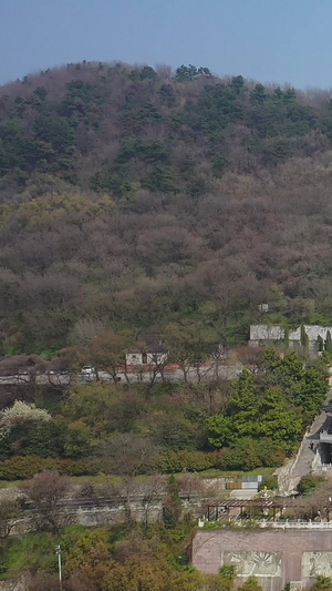 国家5A级风景区茅山印宫老子神像航拍视频近景70秒视频