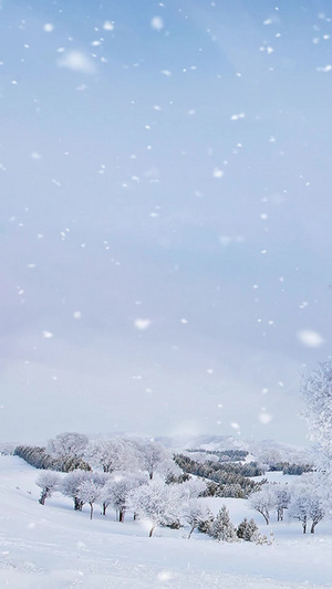 冬季雪景视频素材浪漫雪景10秒视频