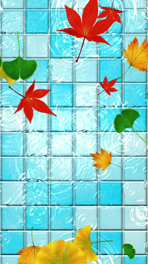 泳池水面枫叶背景落叶背景40秒视频