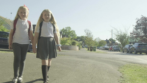 双生女孩步行上学18秒视频
