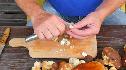 用老手上的菜刀清洗野生蘑菇人手小心地拿蘑菇从茎上去除视频