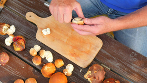 用手上的菜刀清洗野生蘑菇60秒视频