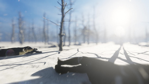 在雪覆盖的森林中露出死亡士兵4k20秒视频