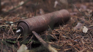 一个气溶胶可能躺在地上在生锈的森林里19秒视频
