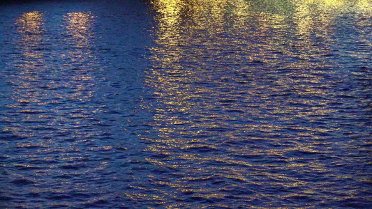 蛇河上深蓝水面有清丽女士灯光反射视频