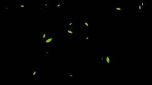 4K透明通道树叶飘落视频素材30秒视频