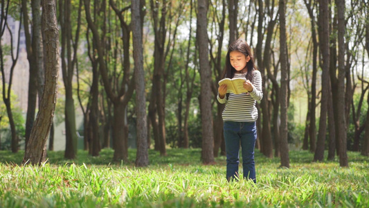 女生站在树林里看书视频