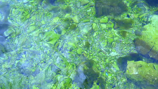 清澈而透明的湖泊水视频