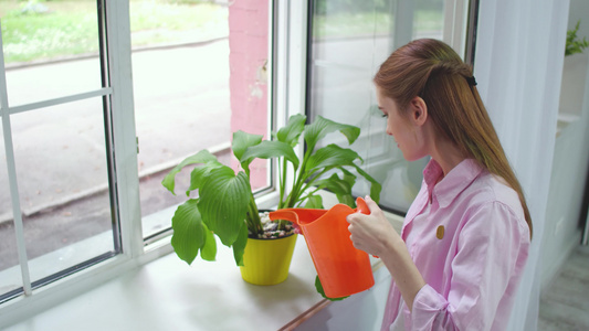 年轻漂亮女人浇花的片段视频