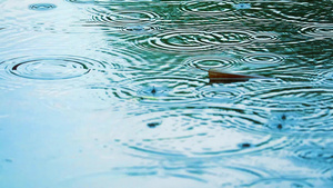 集中到水上的雨滴和漂浮在表面的干叶10秒视频