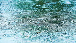 聚焦点为水上的雨滴和表面漂浮的模糊干叶113秒视频