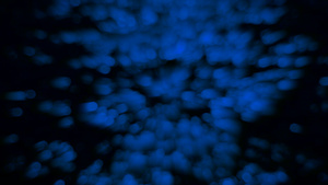 水面的模糊和bokeh反光光暗蓝色16秒视频