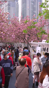 低空飞行航拍城市樱花节活动现场街景人流素材樱花素材视频