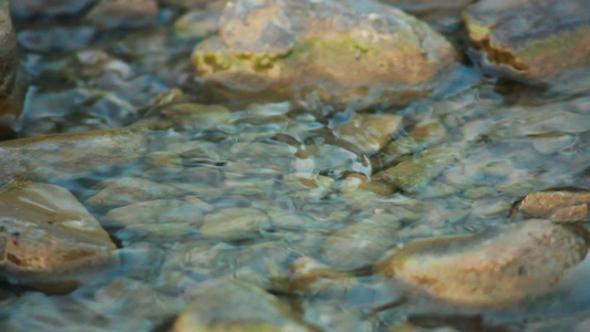 小山河视频