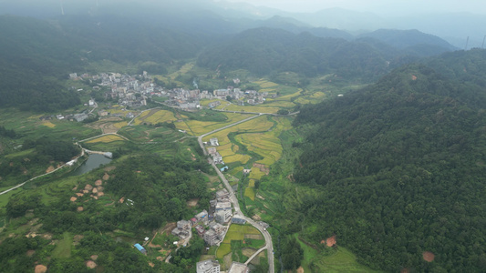 乡村稻田航拍视频