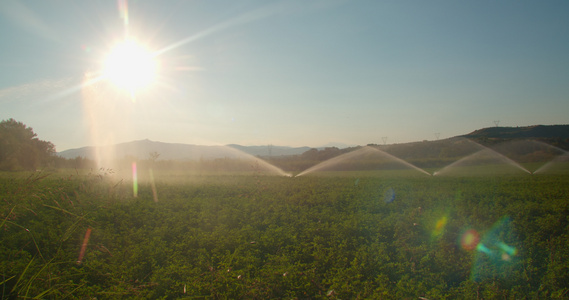 绿地农业灌溉系统视频