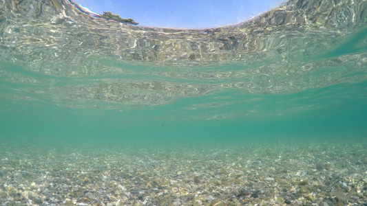 在海水浅水中游泳的鱼类用石头小石块地板和在水面反射视频